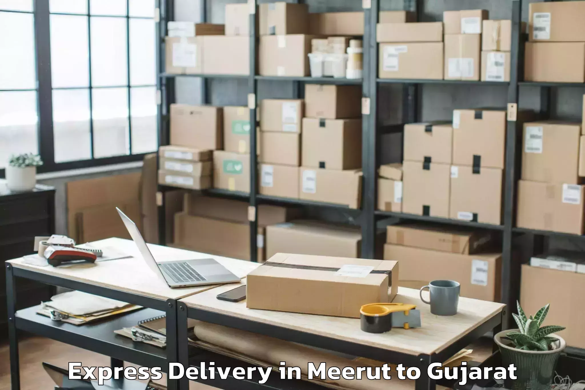 Leading Meerut to Vadgam Express Delivery Provider